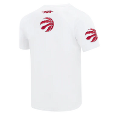 Men's Pro Standard Toronto Raptors City Arch Tee